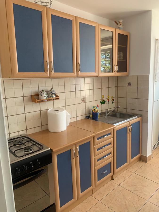 Sanela- Apartman Za Bezbrizan Odmor Криквеница Екстериор снимка